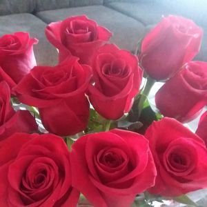 Meet your Posher, Noemi